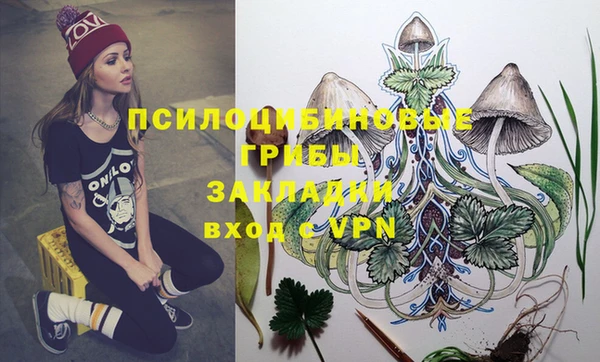 амф Осинники