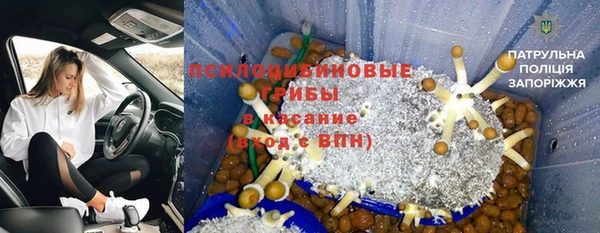 амф Осинники