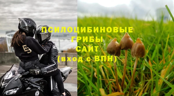 амф Осинники