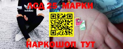 гидра Гатчина