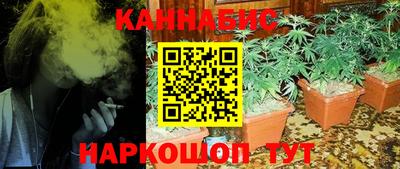 гашик Берёзовский