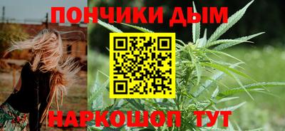 гидра Гатчина