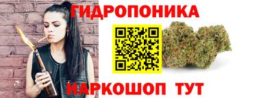 гидра Гатчина