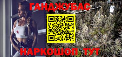 гашик Берёзовский