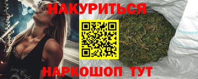 гидра Гатчина