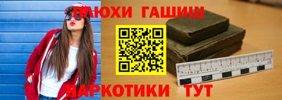 гидра Гатчина