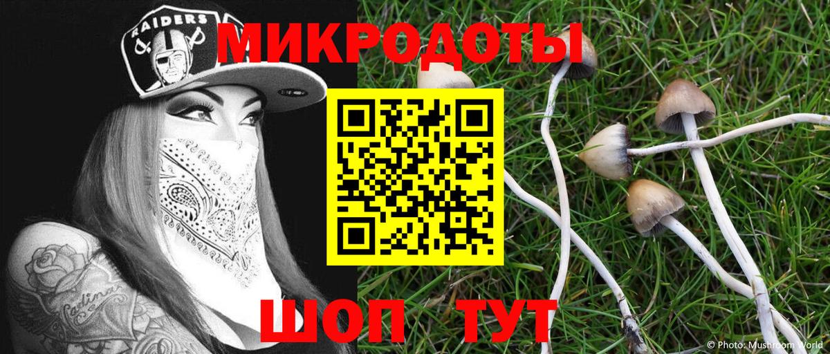 Псилоцибиновые грибы MAGIC MUSHROOMS  Вход с VPN  цены   Переславль-Залесский  Псилоцибиновые грибы MAGIC MUSHROOMS 
