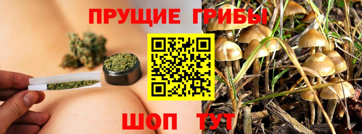 Псилоцибиновые грибы мухоморы Переславль-Залесский
