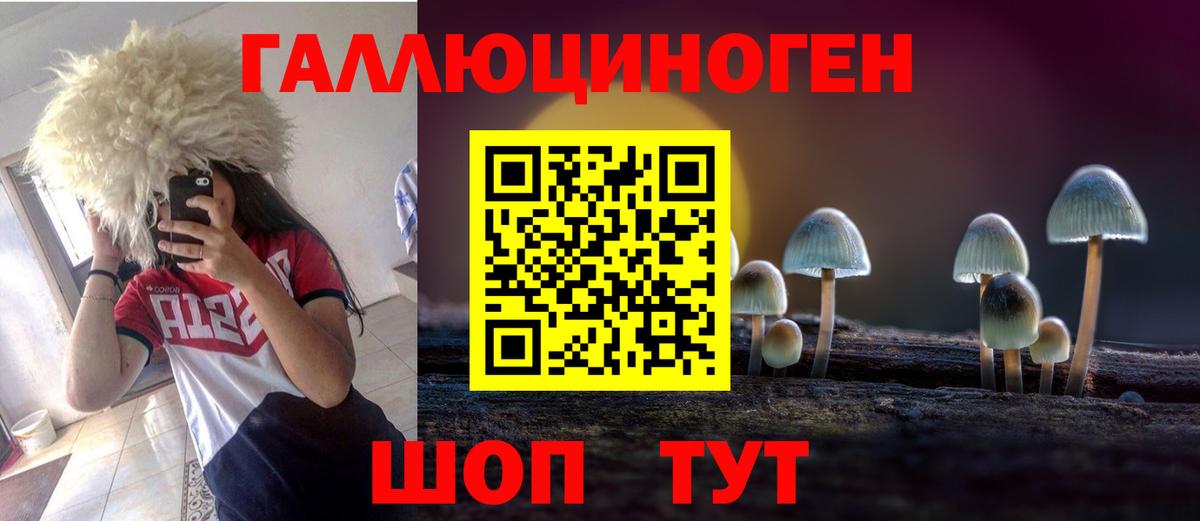 Галлюциногенные грибы прущие грибы  Переславль-Залесский  Псилоцибиновые грибы Cubensis 