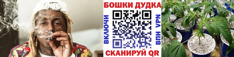 Марихуана White Widow  darknet формула  Переславль-Залесский  купить наркотики сайты 